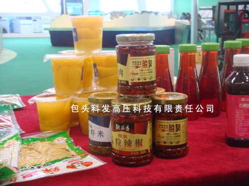 公司參加了“十一五”國家重大科技成果發(fā)布會(huì)